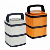 stainless steel interior plastic outside 2 layer lunch box with handle